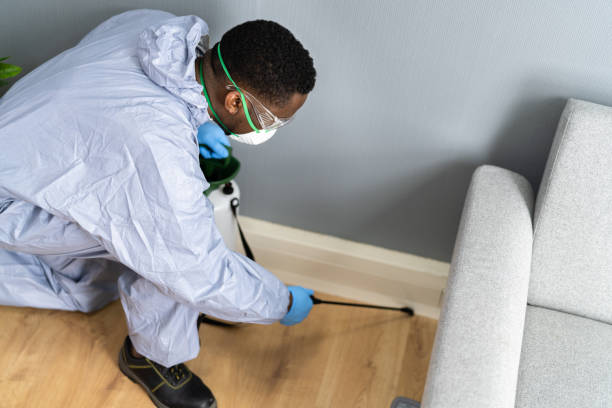 Best Bed Bug Extermination  in Guntersville, AL